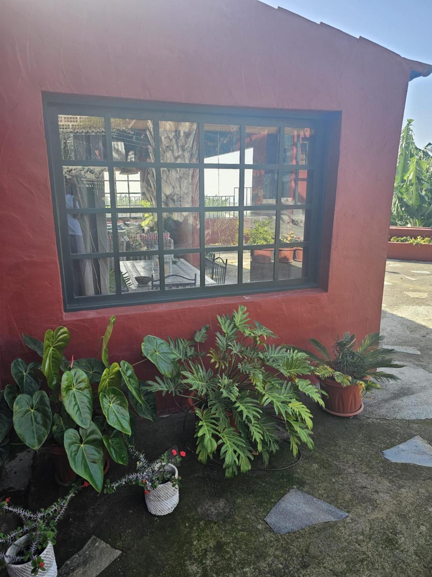 Casa Rural El Pinito Con Piscina Privada 埃尔帕索 外观 照片