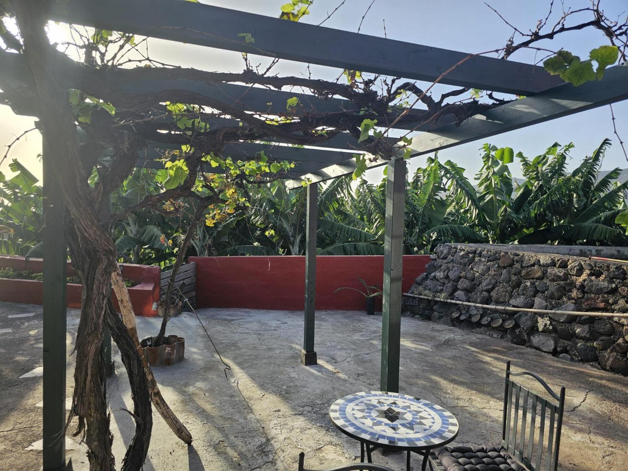 Casa Rural El Pinito Con Piscina Privada 埃尔帕索 外观 照片